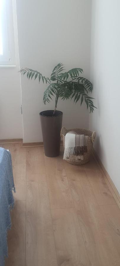 Apartman Taca Subotica Zewnętrze zdjęcie